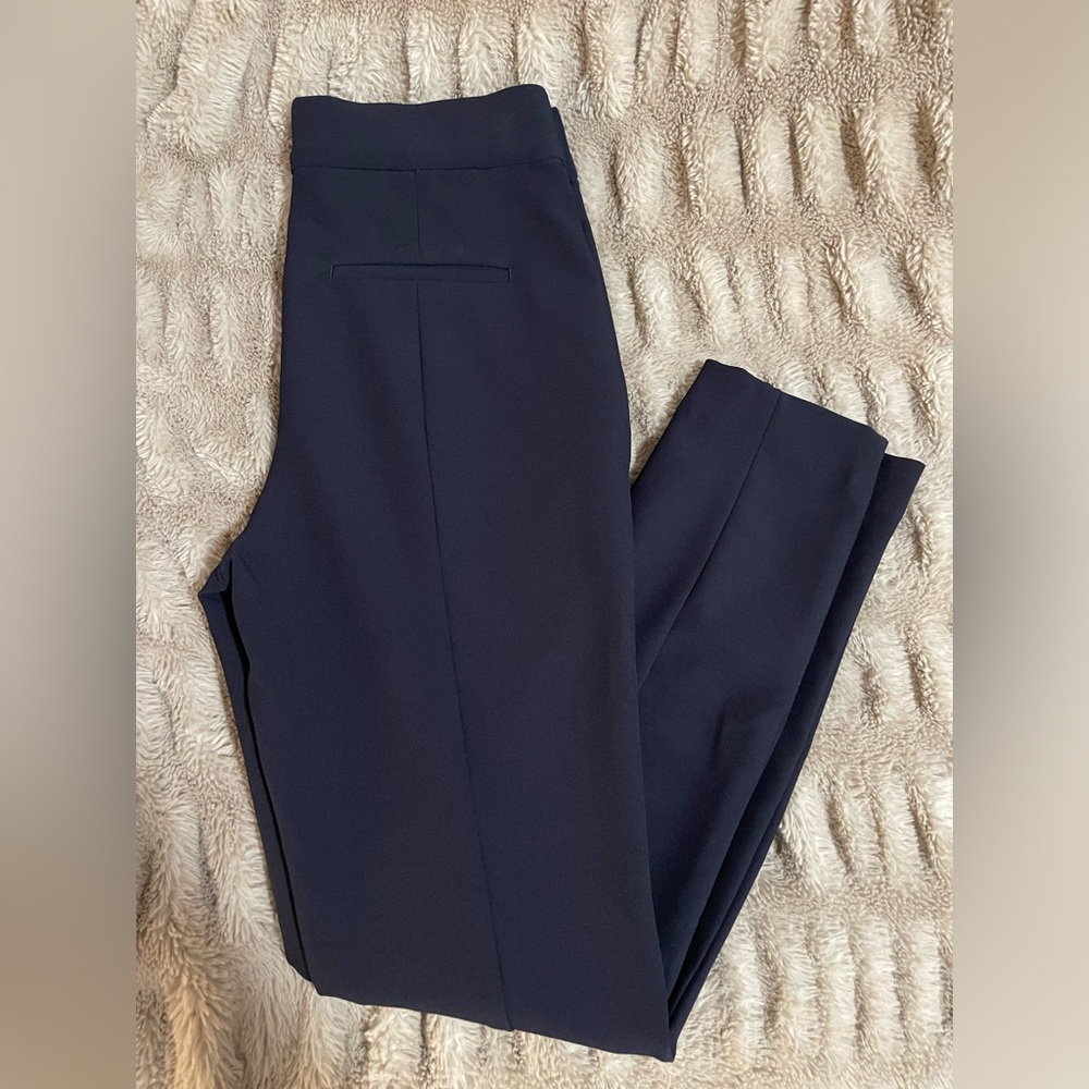 Express Dress Pants